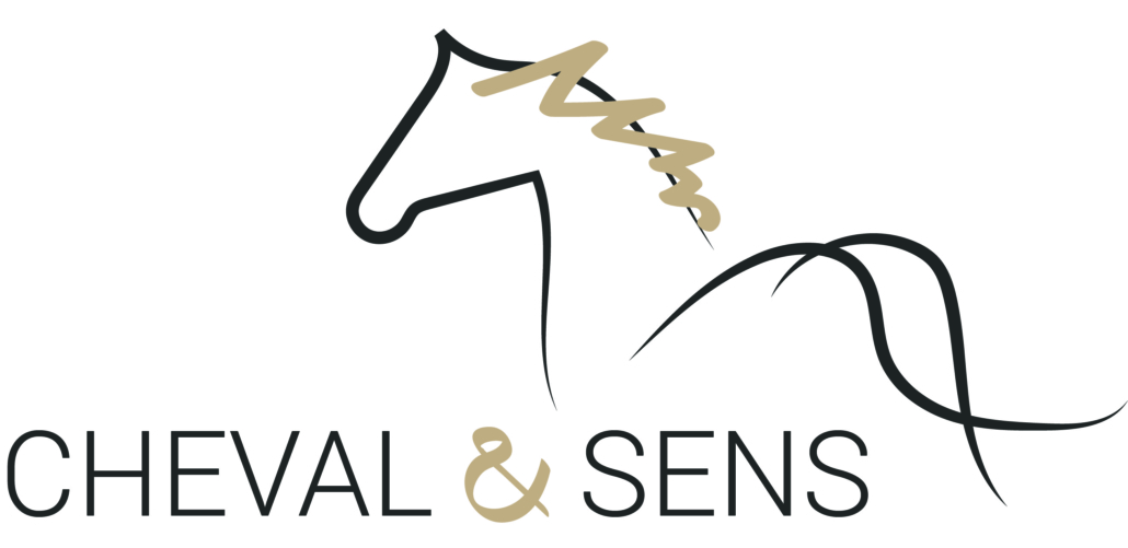 Cheval & Sens Création logo
