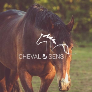 Cheval & Sens