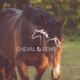 Cheval & Sens